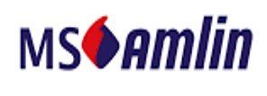 MS Amlin